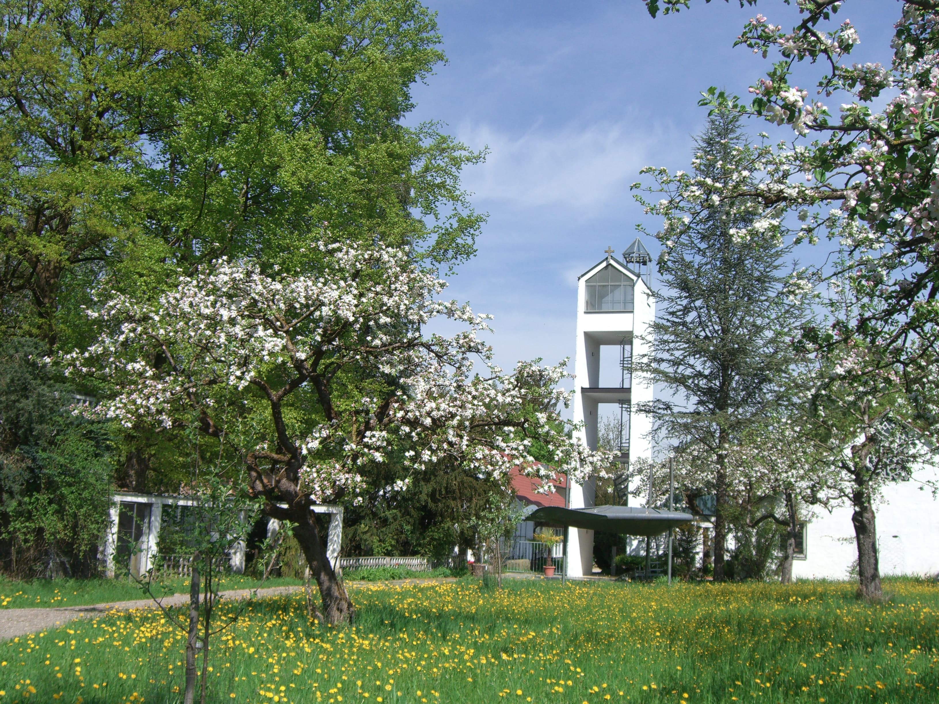 Apfelgarten nach Süden